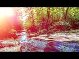 Relaxing Spa Chill Out Music, Love Every Moment of Life - Ambient Lounge Chill Out Music