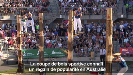 La coupe de bois sportive en plein boom en Australie