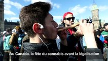 Au Canada, la fête du cannabis avant la légalisation