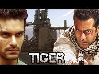 Salman और Angad Bedi  Abu Dhabi में Tiger Zinda Hai की शूटिंग कर रहे है