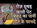 गर्म पानी, शहद और नींबू के फायदे | खाली पेट पिए शहद का पानी | Health Tips