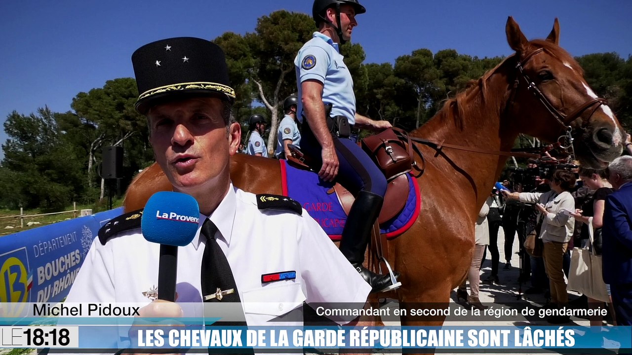 Les Marseillais vont découvrir les cavaliers de la Garde républicaine pour une période de six mois.