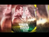 Salman और Katrina Kaif का TIGER ZINDA HAI Poster - FAN ने बनाया Poster