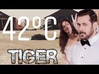 Salman और Katrina करेंगे 42 डिग्रीज में Tiger Zinda Hai की शूटिंग | ओमान के लिवा शहर में