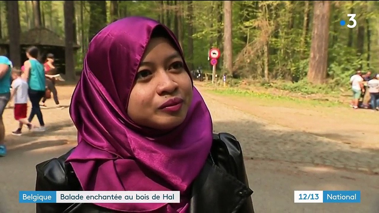 Belgique : balade enchantée au bois de Hal