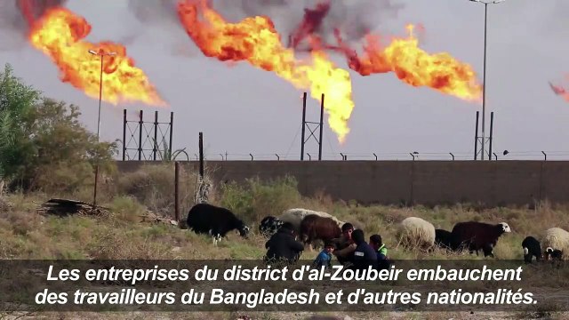 Bassora,où le pétrole coule à flots, l'habitat informel prospère