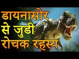 डायनासोर के अध्भुत रहस्य | Mysteries of Dinosaurs | Unsolved Mysteries | You Should Know