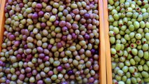 Những lợi ích tuyệt không thể bỏ qua khi kết hợp quả olive vào bữa ăn