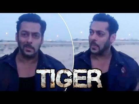 Salman Khan की LEAKED तश्वीर Abu Dhabi शूट से | Tiger Zinda Hai