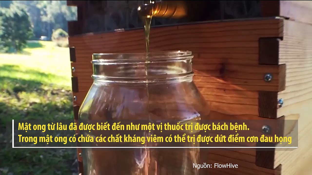 Những loại “thuốc” kháng sinh tự nhiên mà bạn nên có trong nhà để phòng bệnh