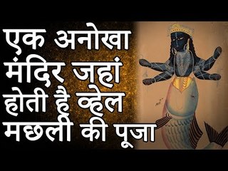 मत्स्य माताजी का एक अनोखा मंदिर जहाँ की जाती है व्हेल मछली की पूजा | Mysteries World