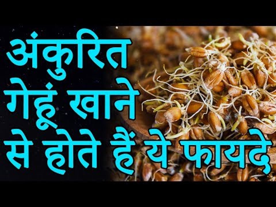 Health Benefits of Sprouted Wheat | अंकुरित गेहूं खाने से होते है ये जबरदस्त फायदे | Healthy Remedy