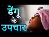 Home Remedies For Dengue Fever | डेंगू के घरेलु उपचार और नुस्खे | Healthy Remedy