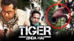 Salman Khan बने खतरों के खिलाडी WOLF के साथ किया Tiger Zinda Hai का Action Scene