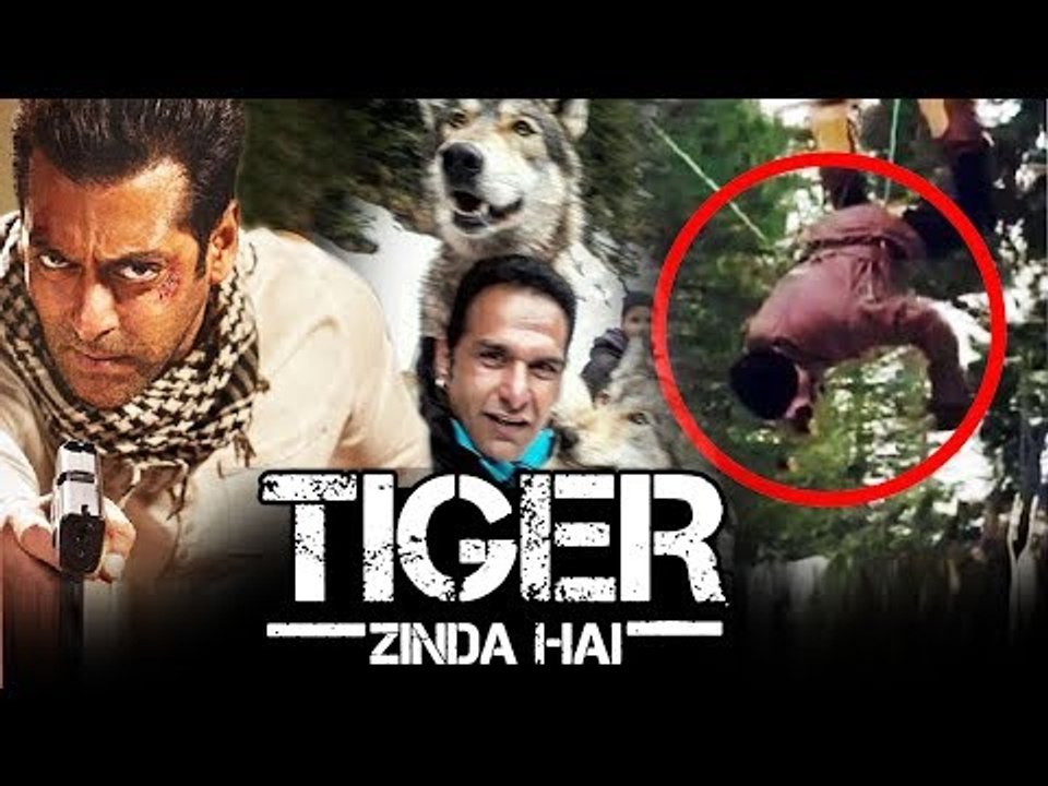 Salman Khan बने खतरों के खिलाडी WOLF के साथ किया Tiger Zinda Hai का Action Scene