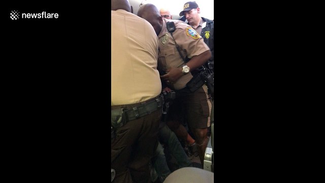 Dramatic video of man getting tasered after allegedly touching woman inappropriately on plane