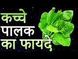 Health Benefits of Palak (Spinach) | पालक के आश्चर्यजनक आयुर्वेदिक फायदे | Healthy Remedy