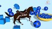 Learn Colors With Horse   Horse Colorful Songs   Learn Colours Animals for Kids