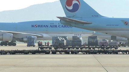 "대한항공 소액주주 모아 경영진 교체하겠다" / YTN