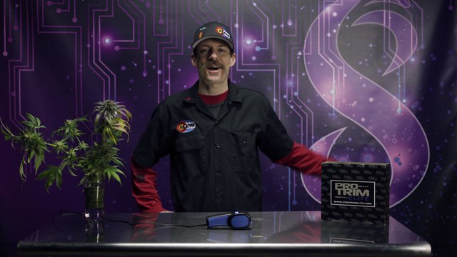 Pro Trim Elite Quick Tip: How to Clean Your Pro Trims With a Razor - ELEV8 Presents