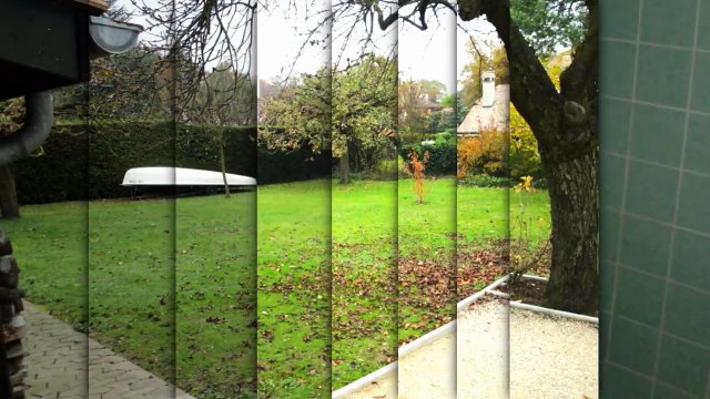 A louer - Appartement - Collonge-Bellerive (1245)