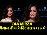 GORGEOUS Dia Mirza दिखाई दी LFW Winter Festive 2017 में