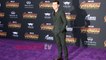 Tom Holland “Avengers Infinity War” World Premiere Purple Carpet