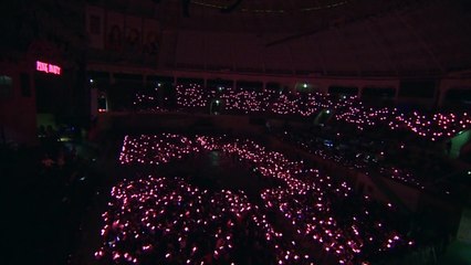 Wanna Be_APINK 3rd Concert Pink Party (2016)