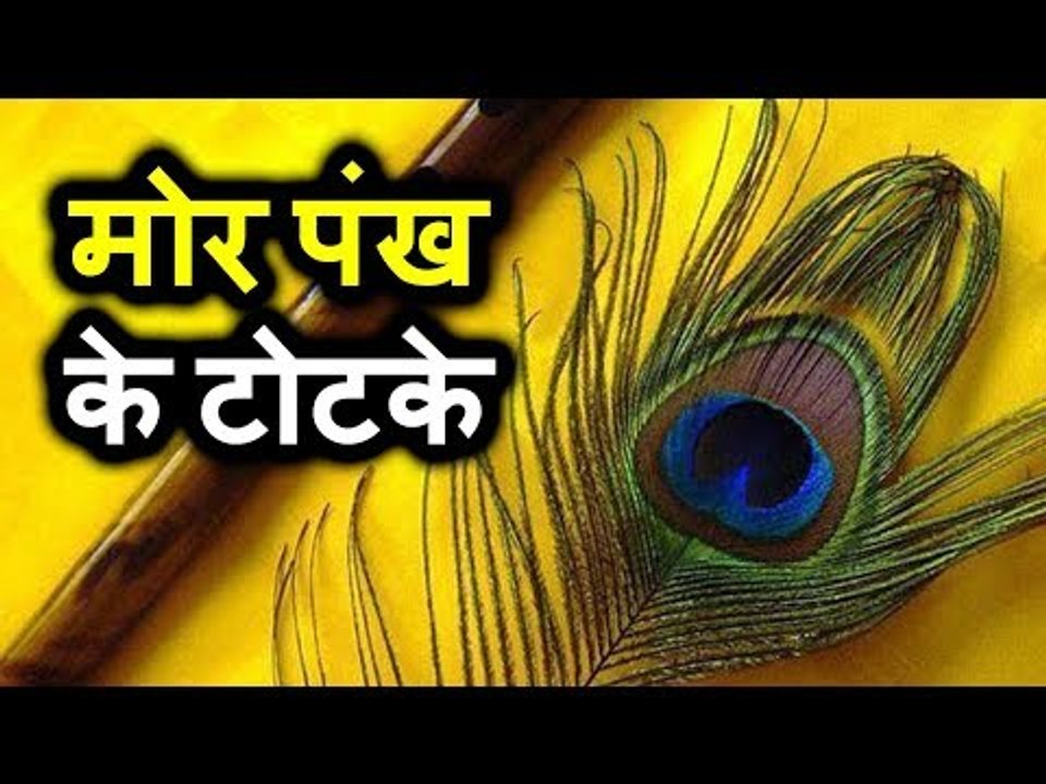 मोर पंख के टोटके  | Peacock feather tricks | Desi Totke - देसी टोटके