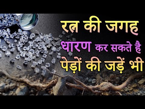 रत्न की जगह धारण कर सकते है पेड़ों की जड़ें भी | Roots of trees and Jyotish | Desi Totke - देसी टोटके