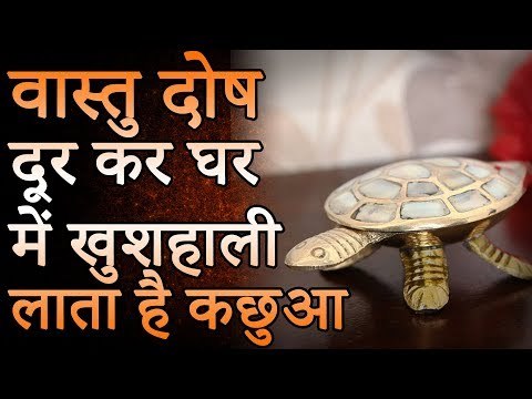 वास्तु दोष दूर कर घर में खुशहाली लाता है कछुआ | Desi Totke - देसी टोटके