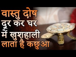 वास्तु दोष दूर कर घर में खुशहाली लाता है कछुआ |  Desi Totke - देसी टोटके