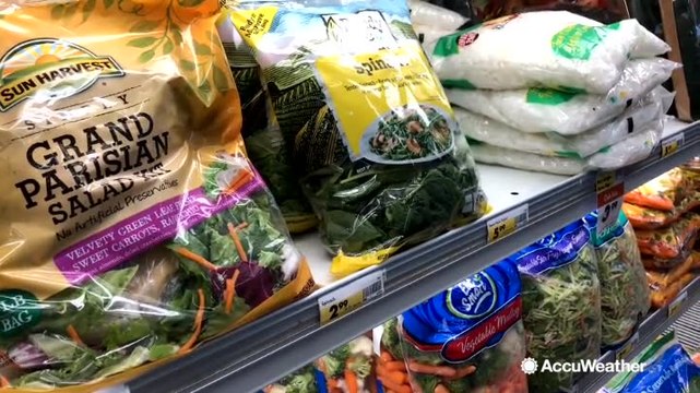 E-Coli outbreak in romaine lettuce