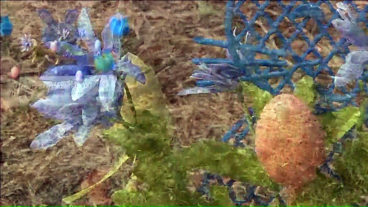 Mom Who Feared Cemetery Had Lost Her Son's Remains FInally Has Closure