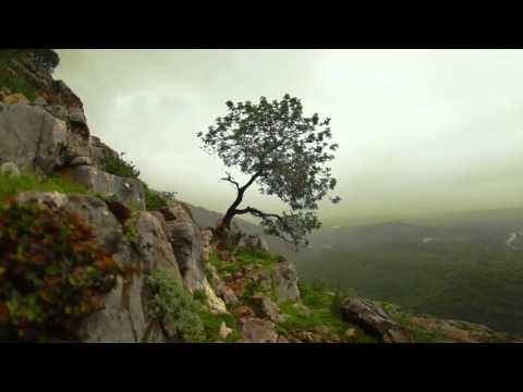 Flûte Musique de détente profonde, la musique tibétaine, Chakra chamanique purifier