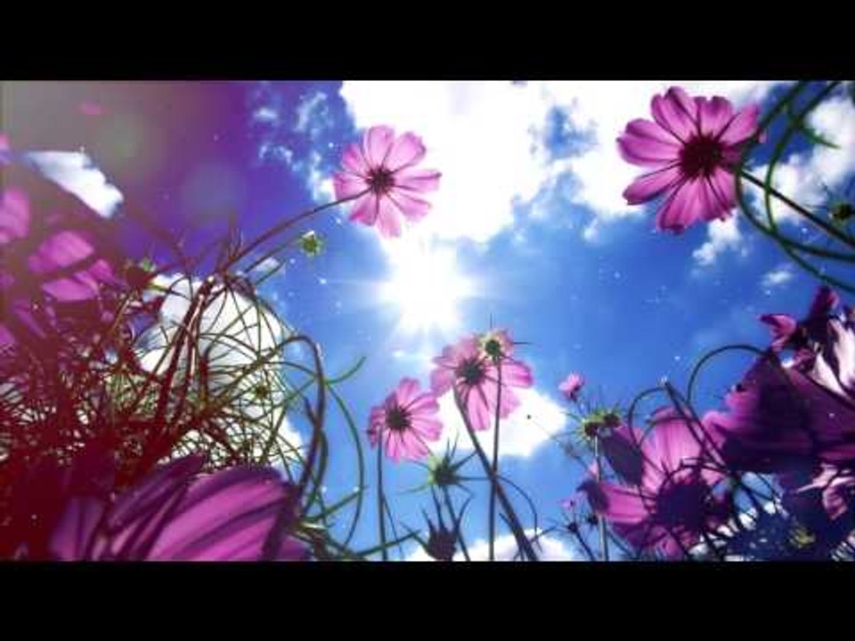 Relax Meditation With Nature Sound: Morning Music for Positive Energy, le meilleur instrument
