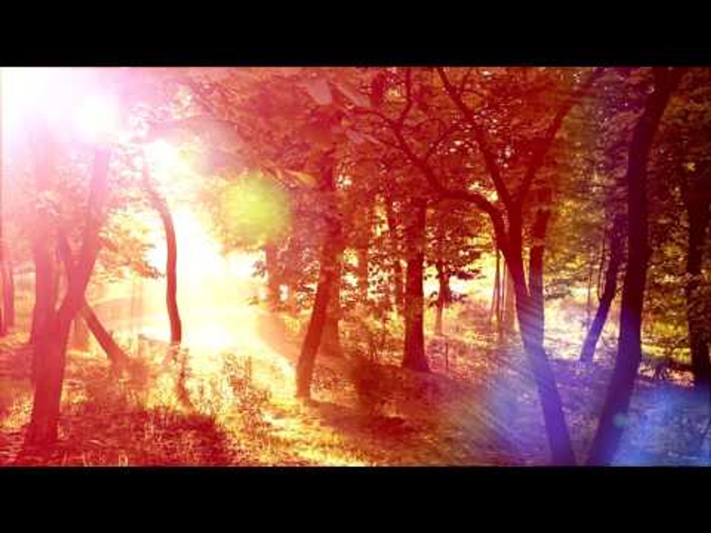 3O Mins Of Healing Meditation Music: musique relaxante, musique apaisante, musique  apaisante - video Dailymotion