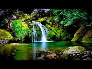 Musique relaxante - Sentiments cascades, forêt tropicale, Oiseaux Chirage, Eau relaxante