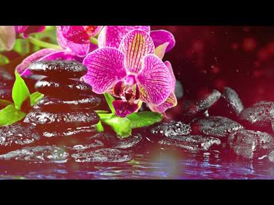 Musique relaxante: musique de méditation profonde, soulagement du stress, musique de yoga