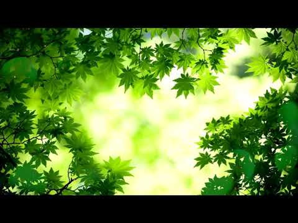 Soft, Meditation Deep Sleep Music: Inner Peace Music, musique relaxante, musique de repos