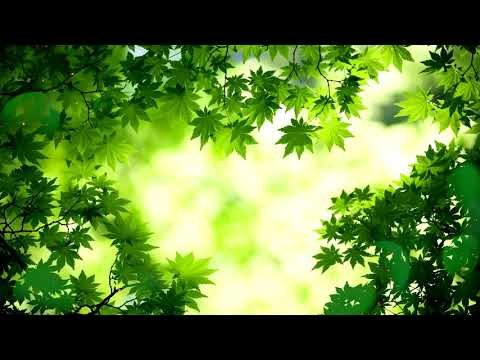 Soft, Meditation Deep Sleep Music: Inner Peace Music, musique relaxante, musique de repos