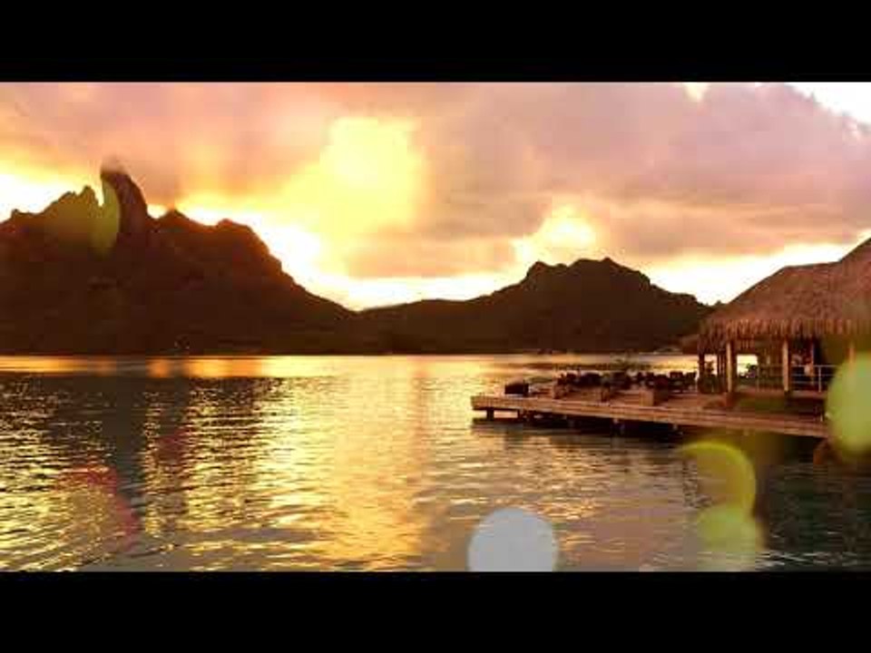 Méditation Relax Musique: Musique relaxante, Focus Study, Musique Zen