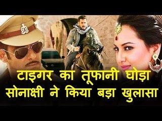 सलमान  खान  हॉर्स  एक्शन  स्टंट | कटरीना  कैफ ,अली  अब्बास  ज़फर , सोनाक्षी ने किया बड़ा खुलासा