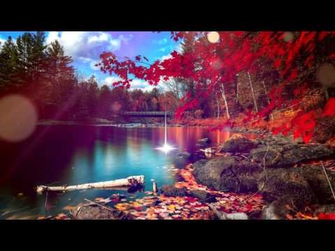 Deep Relax Meditation Music: Delta Waves Musique relaxante, musique apaisante, musique apaisante
