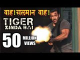 Salman की Tiger Zinda Hai ने पार किये 50 Million Views । मचाई Internet पर धूम Record Set