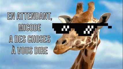 LQC - Vraiment des millions de lignes de code dans un logiciel - Ft Micode