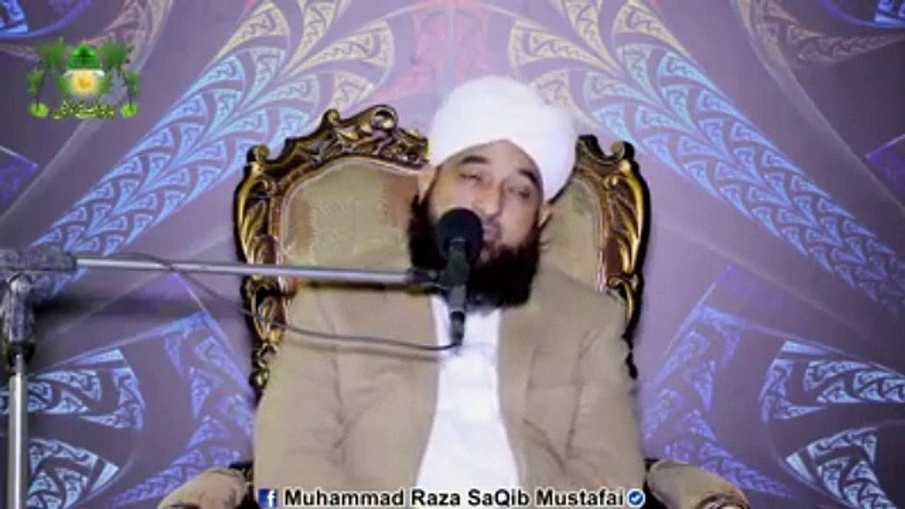 Muhammad Raza Saqib Mustafai (340)