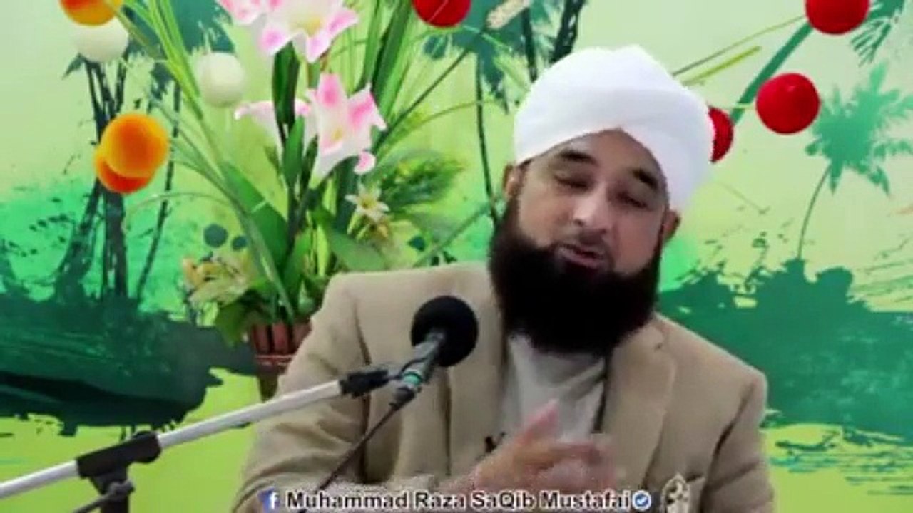 Muhammad Raza Saqib Mustafai (344)