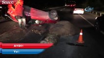 Yola çıkan deveye otomobil çarptı, 4 kişi yaralandı
