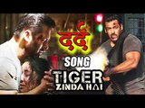 Salman के Tiger Zinda Hai का पहला गाना Dard होगा जल्द ही रिलीज़ ।Katrina Kaif